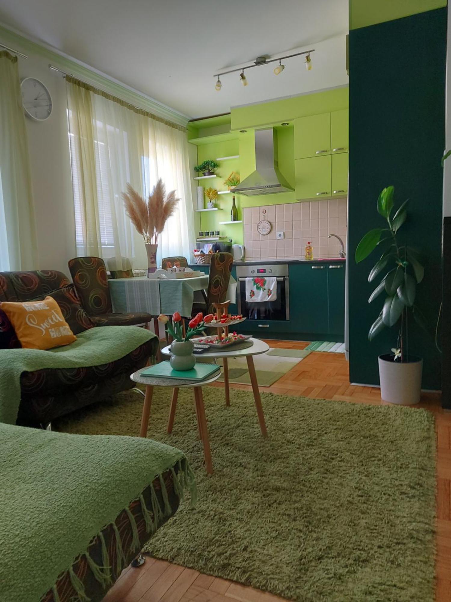 Ferienwohnung Stancicmilena Požarevac Exterior foto